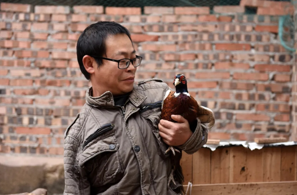 重庆石柱“独臂硬汉”陈山达：抗癌十五载 返乡闯新路4.png