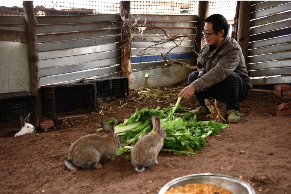 重庆石柱“独臂硬汉”陈山达：抗癌十五载 返乡闯新路3.png