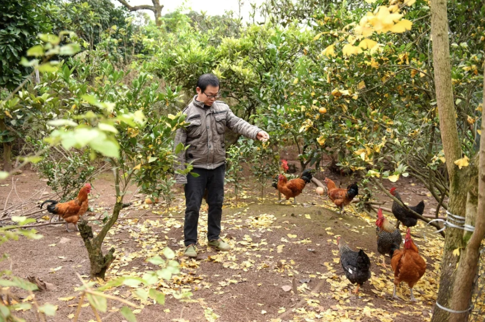 重庆石柱“独臂硬汉”陈山达：抗癌十五载 返乡闯新路1.png